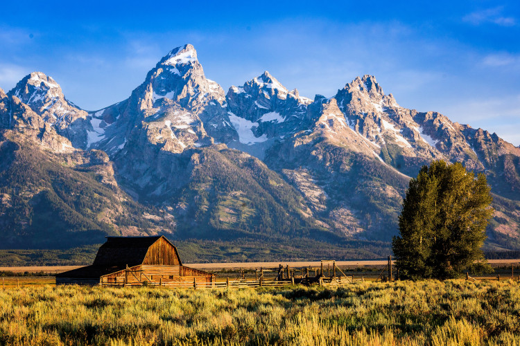 その他 Living Landscapes: Rocky Mountains [Blu-ray] [Import] Snow Covered Rocky Mountains Rural Landscape Photo